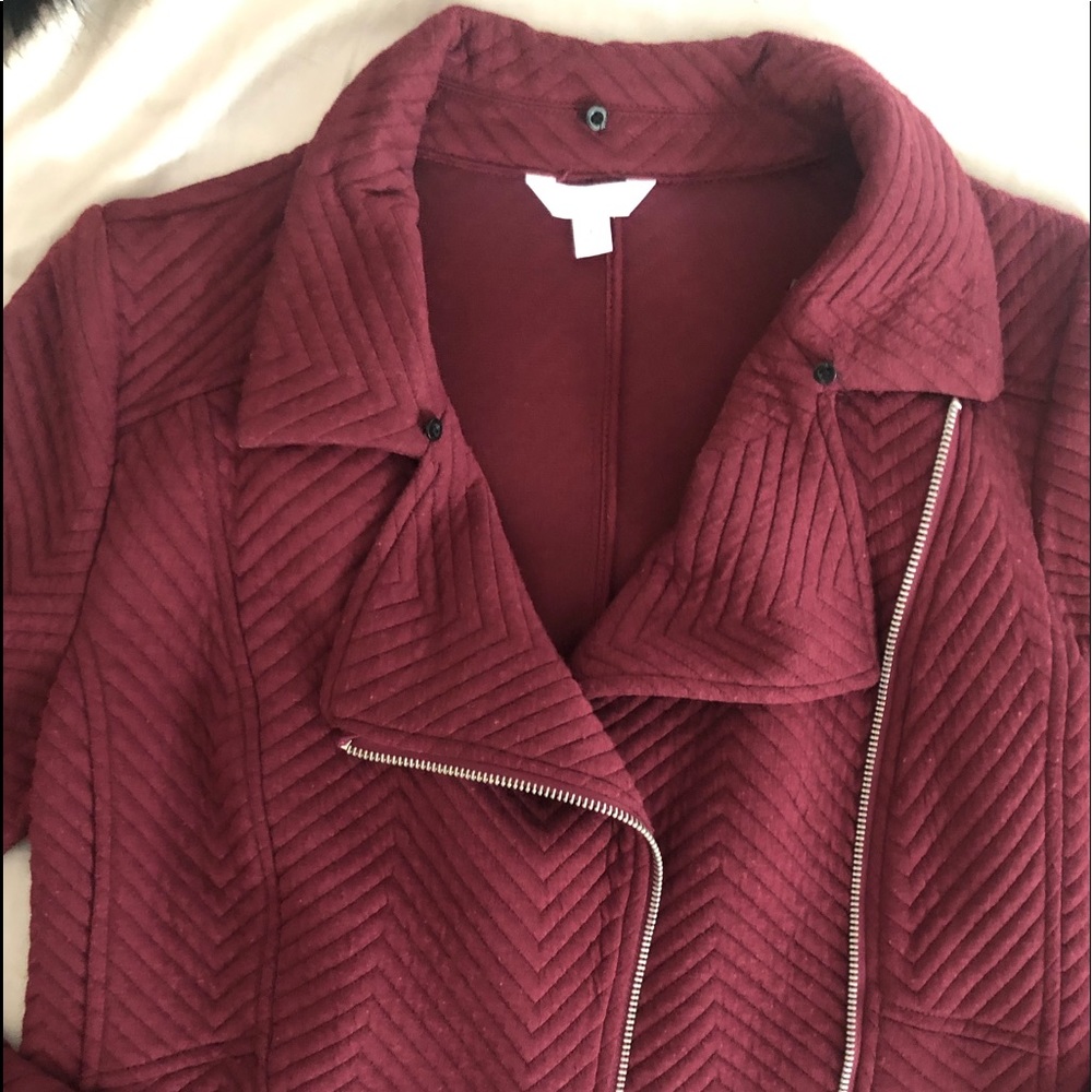 Light Cute Jacket - image 4